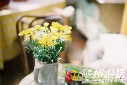 9ba17e4bjw1et8p7n28lwj20c8088jru.jpg