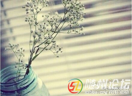 9ba17e4bjw1et8p7n3zb5j20c808w0te.jpg