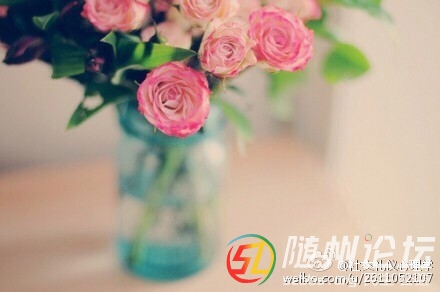 9ba17e4bjw1et8p7ng408j20c8084gly.jpg