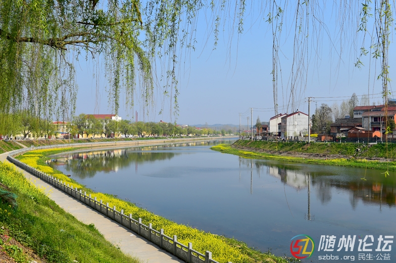 1、《一河兩岸》 林俊.jpg