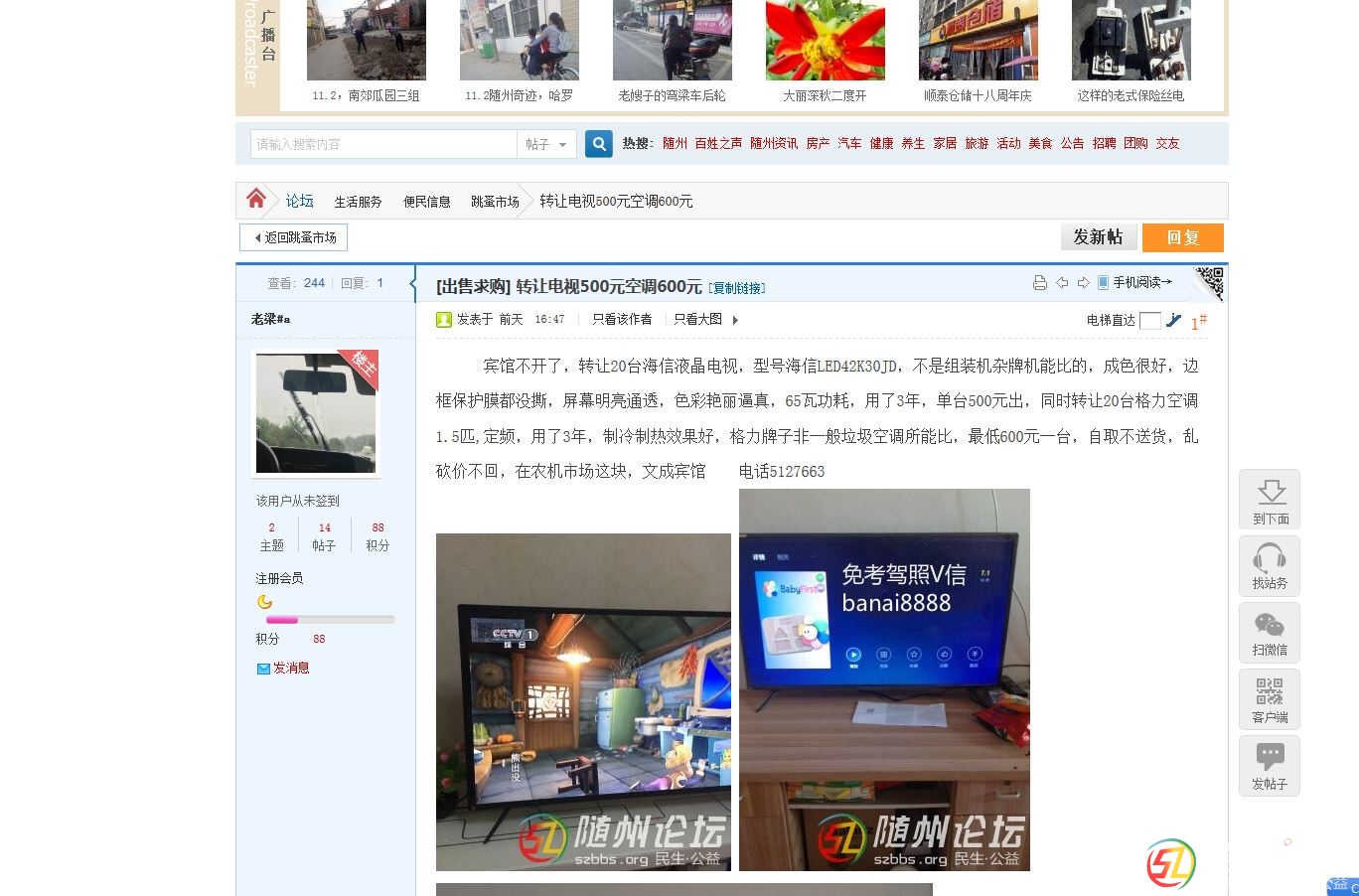 隨論跳騷市場(chǎng)的騙子.JPG