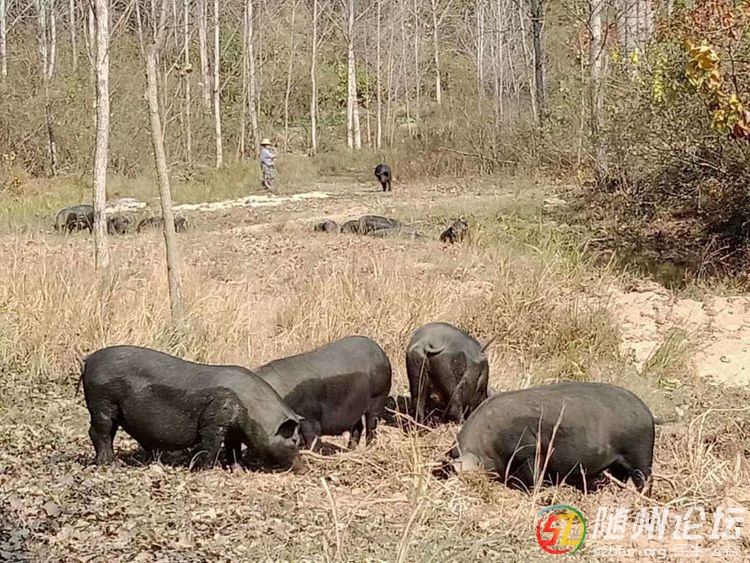 微信圖片_20190102112206.jpg