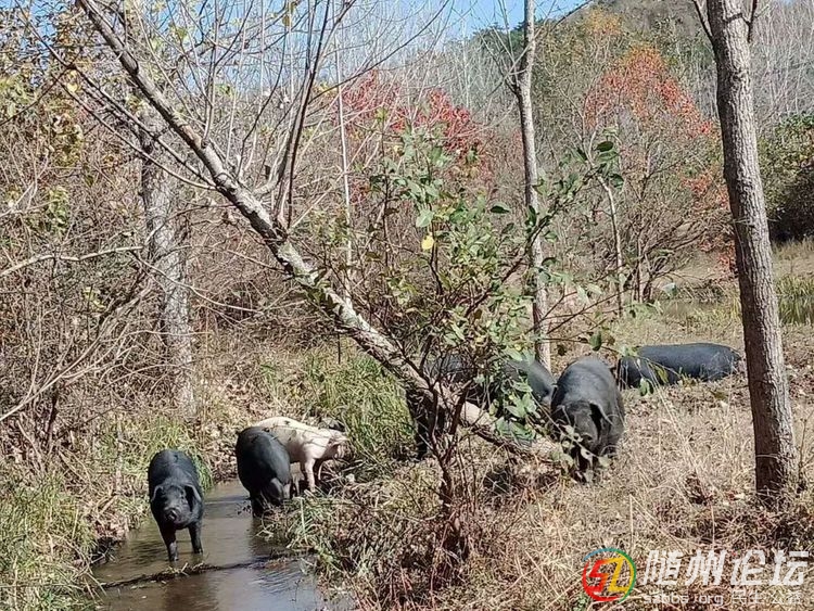 微信圖片_20190102112209.jpg