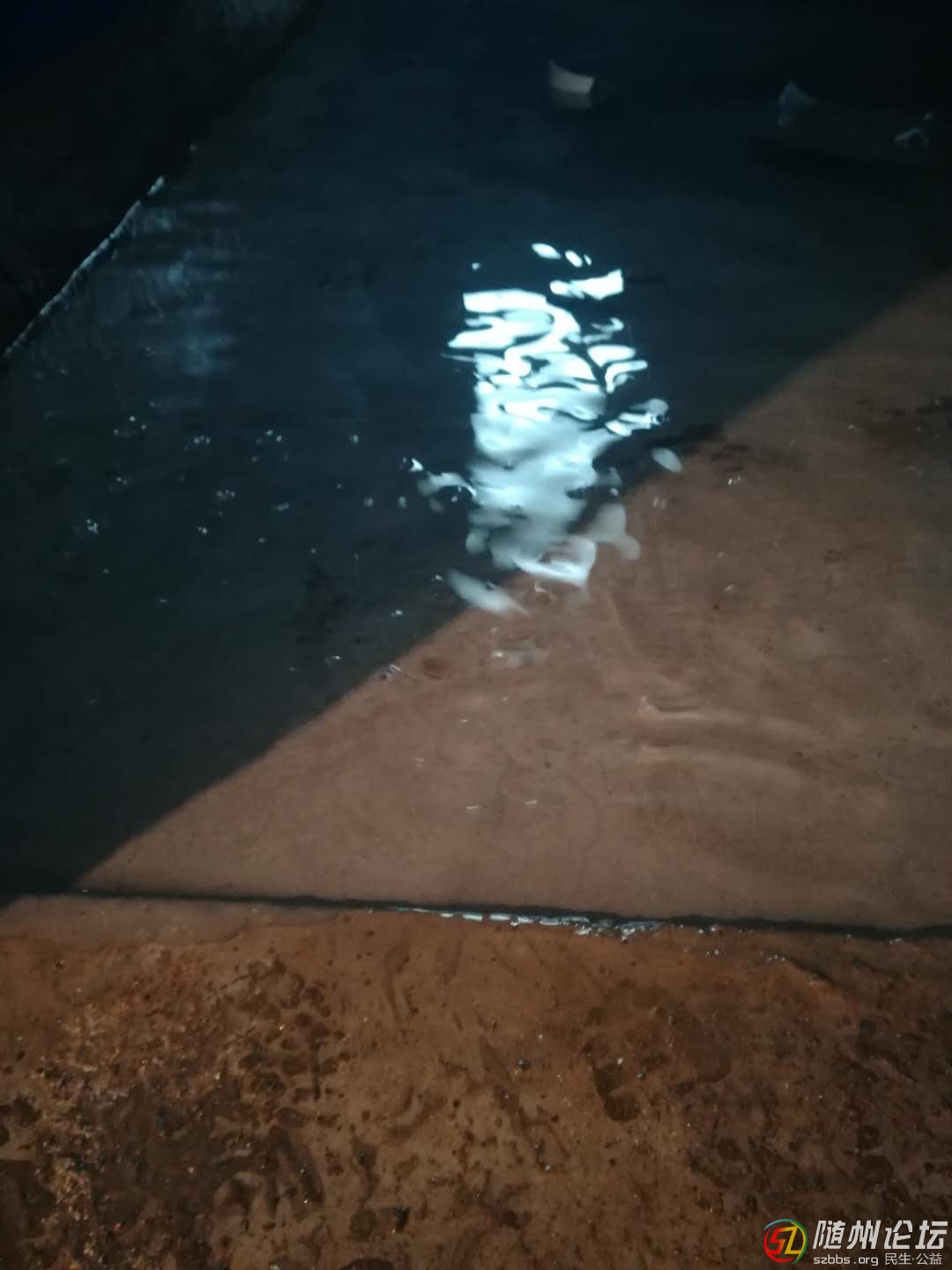 微信圖片_20190421172306.jpg