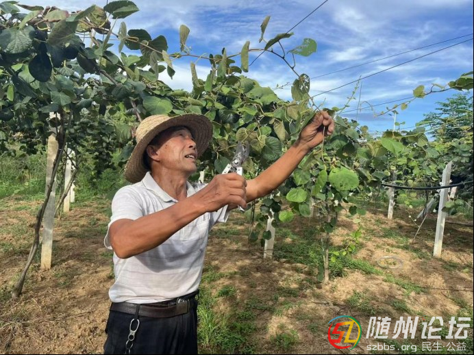 【走進(jìn)鄉(xiāng)村看振興】均川鎮(zhèn)珍珠廟村：果香漫山徑 振興譜新篇